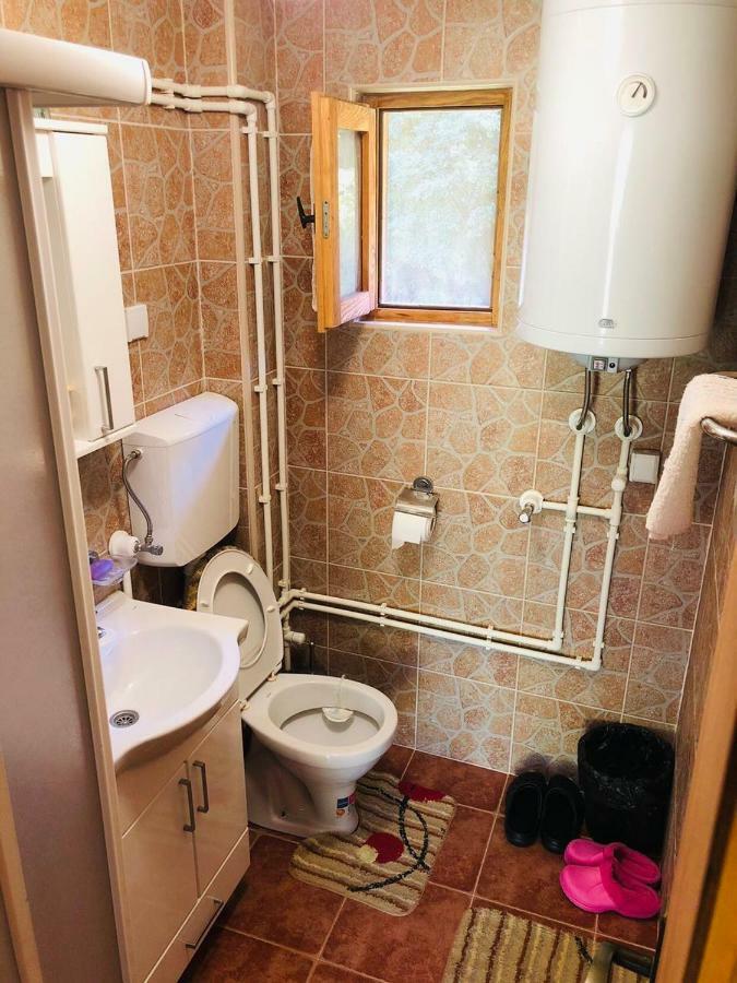 Etno Domacinstvo Stankovic Apartment Gornji Milanovac Exterior photo